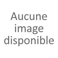 Ecureuil Roux-Blanc assis 23cm