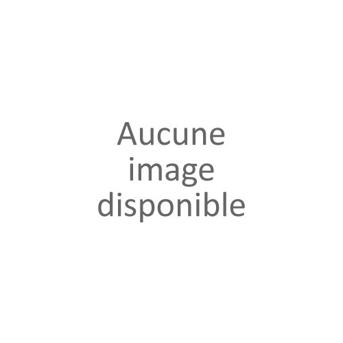 Ecureuil Roux-Blanc assis 23cm